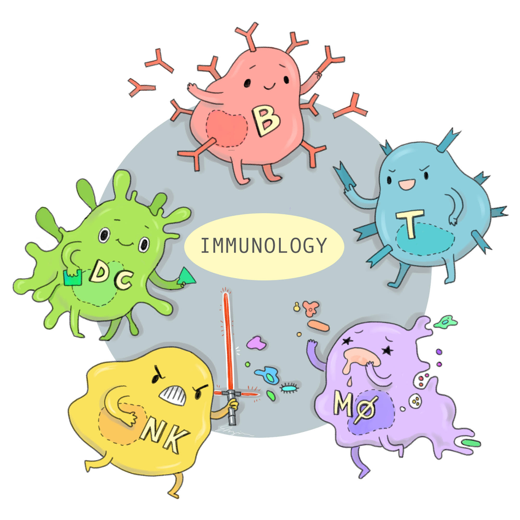 Viruses and Nutrition